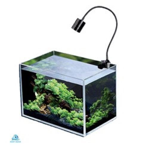 Đèn rọi Biotop 5W ánh sáng trắng