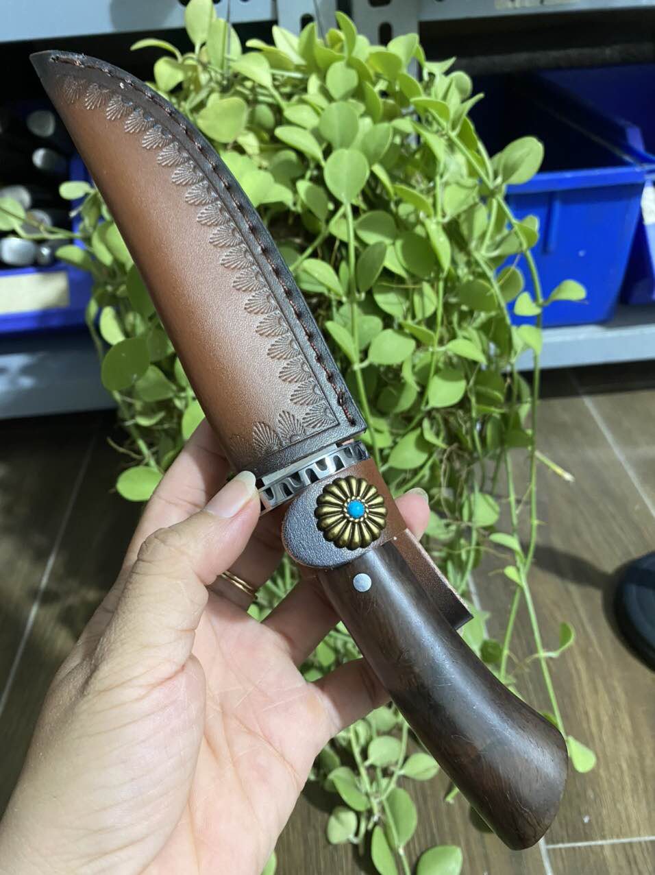 Dao gọt hoa quả 24,5cm, tặng kèm bao đựng