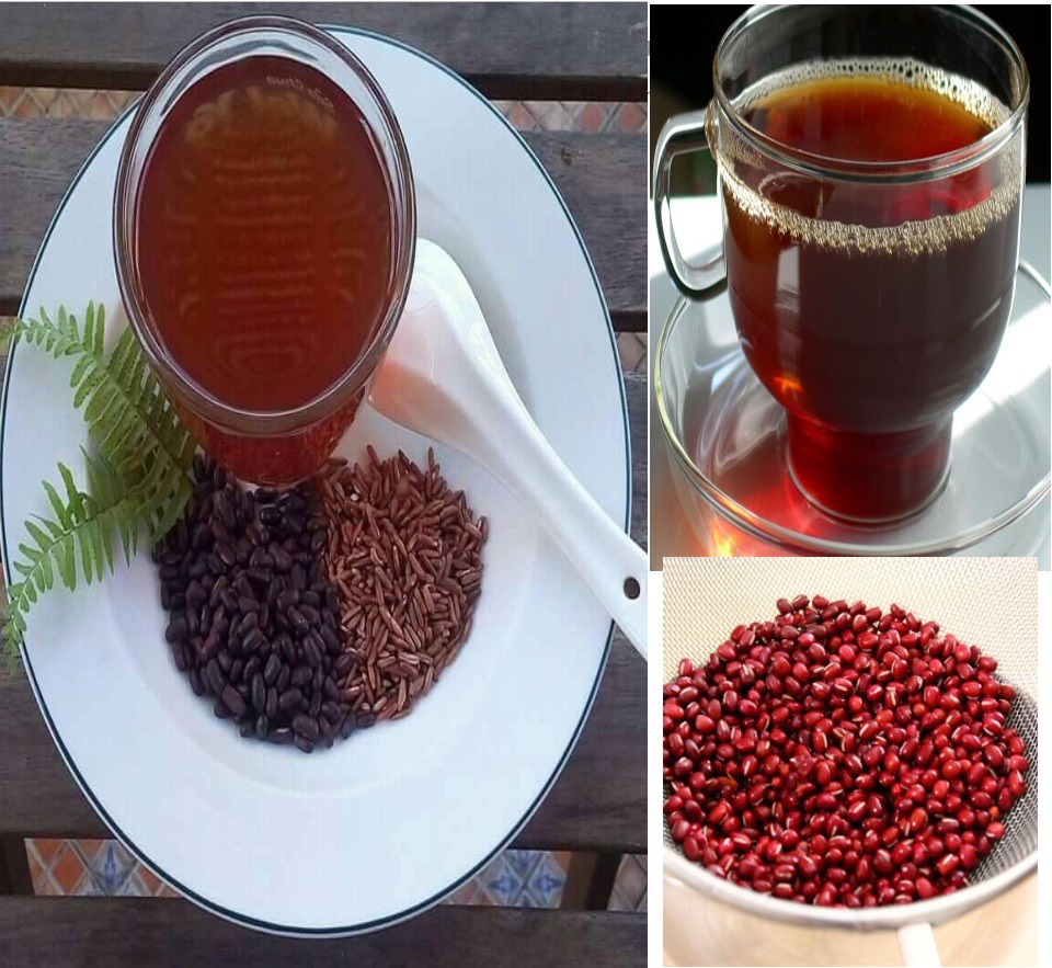 [ Túi Zip ] 1KG Đậu Đỏ Organic Rang Mộc Thiện Phát - ( TẶNG KÈM LÁ DỨA HOA NHÀI )
