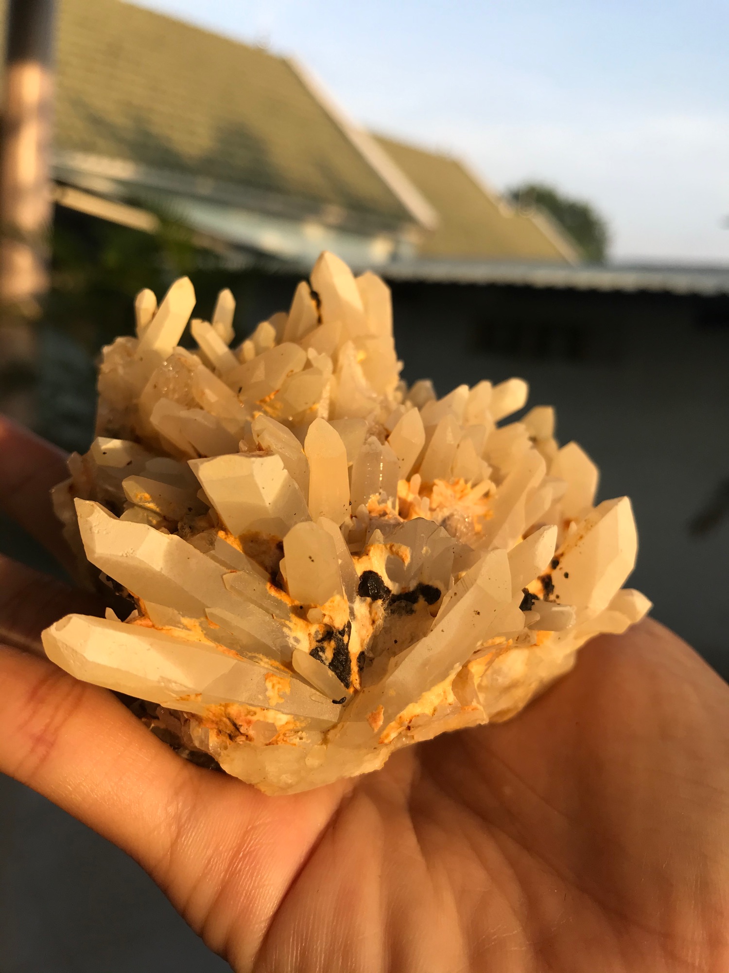 Bụi tinh thể đá Thạch Anh vàng nhím xù