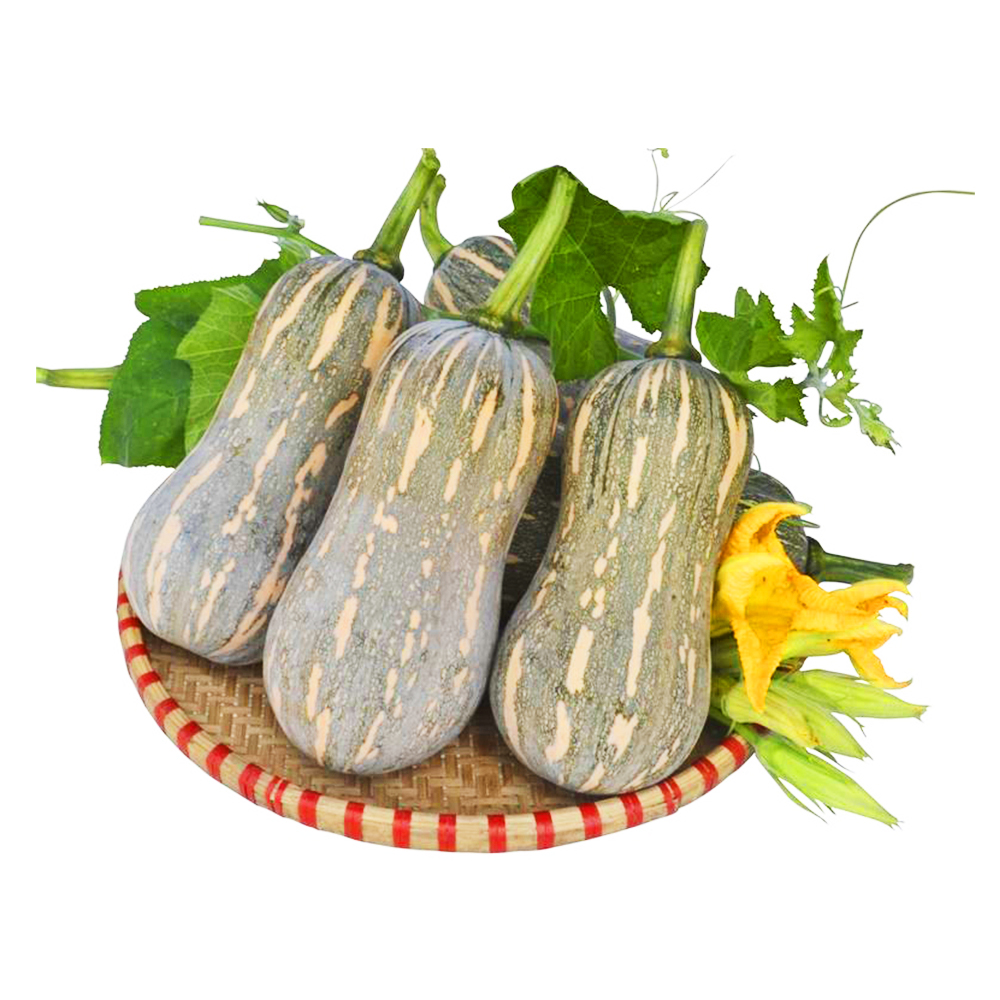 Bí Đỏ Hồ Lô - kg