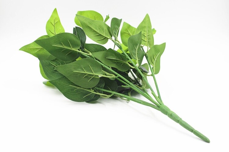 Cụm Cỏ Lá Trầu Bà Đốm Dài 20cm