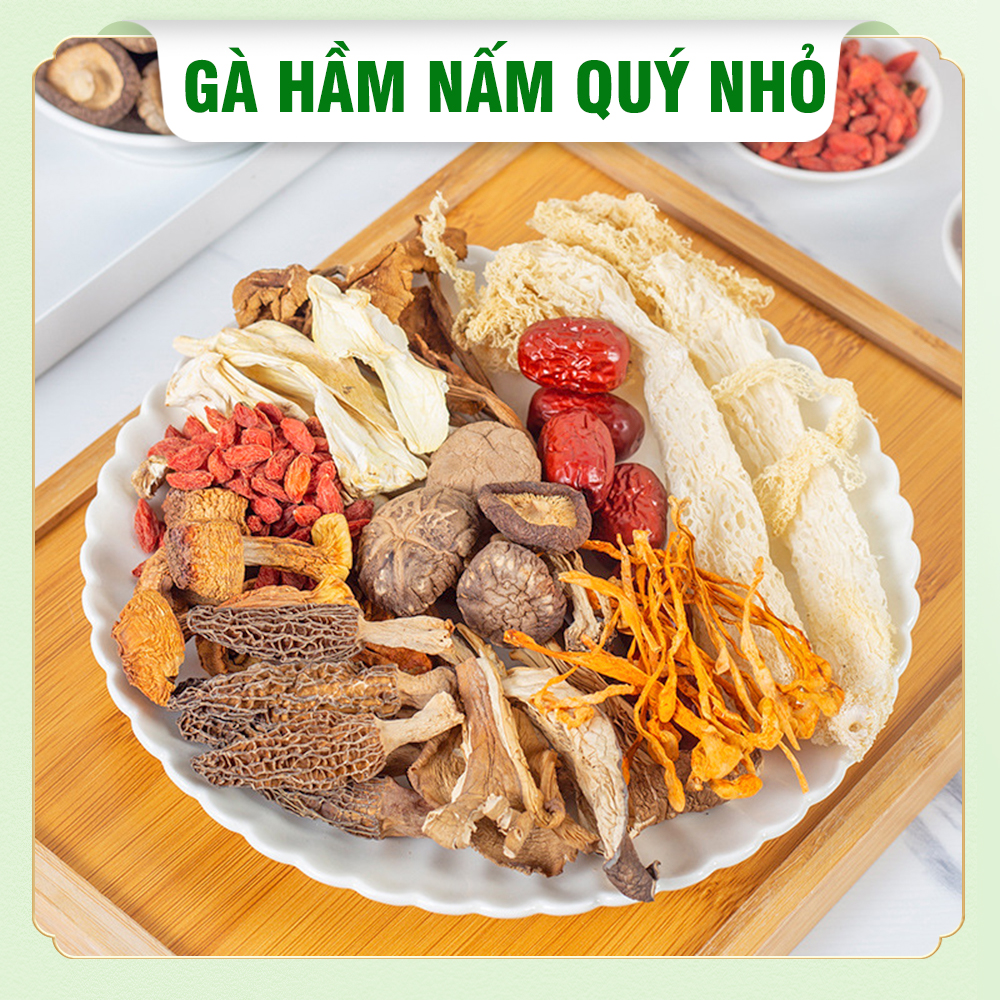 Set gà hầm nấm quý, nguyên liệu nấu gà tần, chim câu, lẩu nấm thơm ngon bổ dưỡng - Chợ Thảo Dược Việt