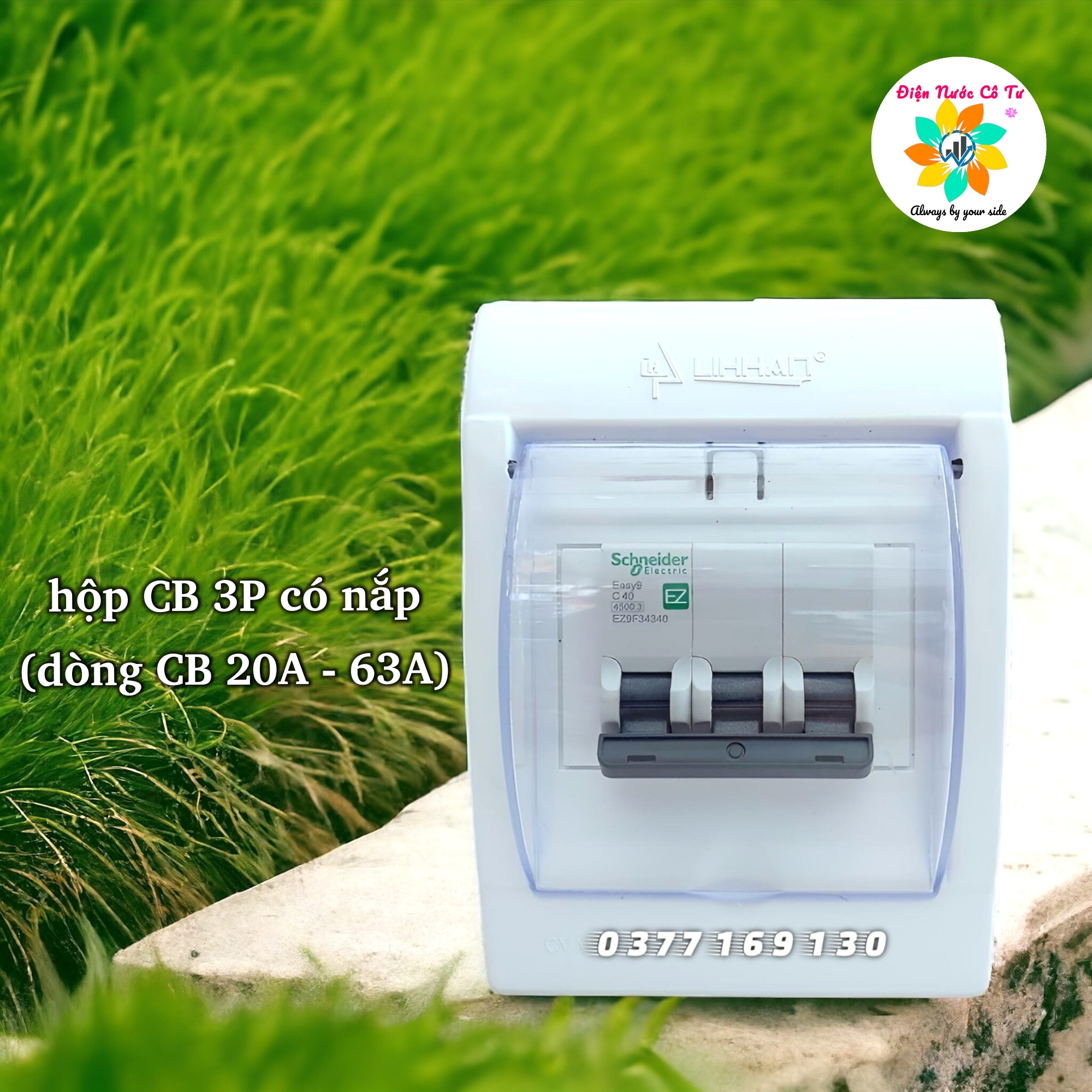 Hộp nổi cb cóc cb 2 pha cb 3 pha
