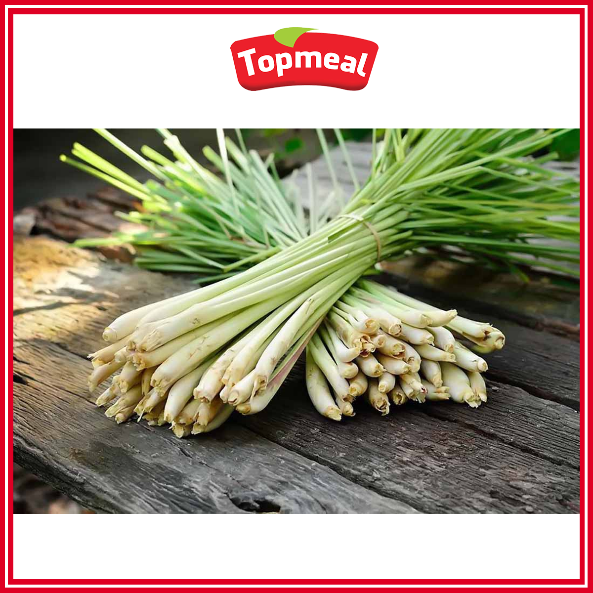 HCM - Sả cây (200g) - [Giao nhanh TPHCM]