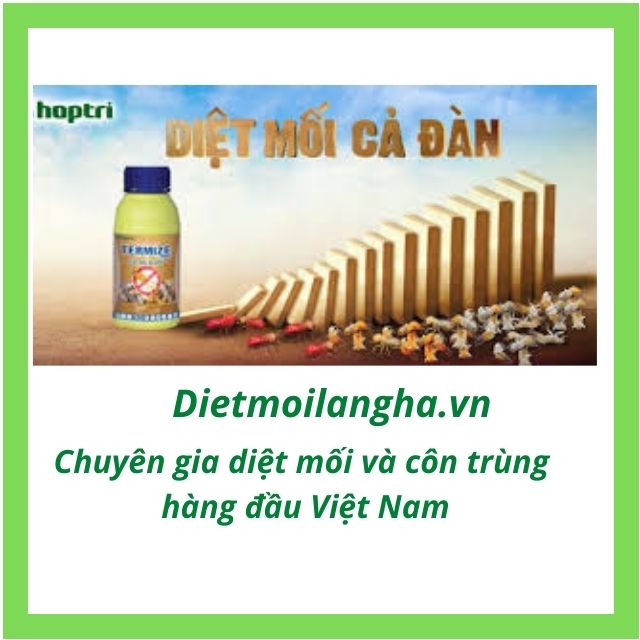 [Chính Hãng] Thuốc Diệt Mối | Phòng Chống Mối Nền Móng TERMIZE 200SC Chai 50ml