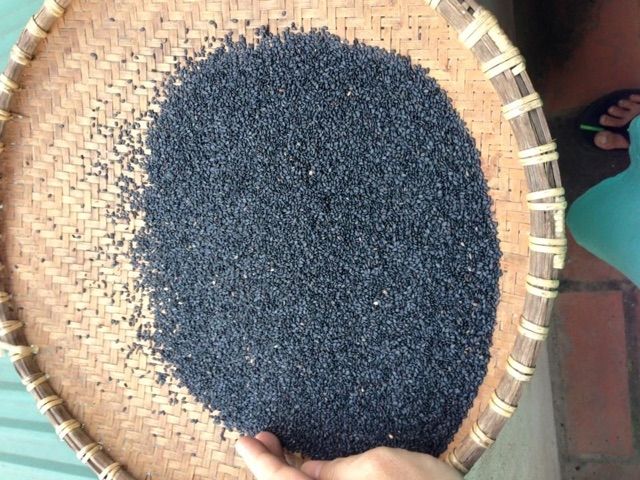 500g Vừng đen quê Organic
