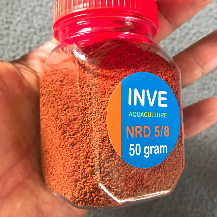 1 hủ Cám Thái Inve 5/8, 1 Hủ 50g, Thức Ăn Cá Cảnh, Cám Cá Con, Cá 7 Màu, Betta, cá thủy sinh