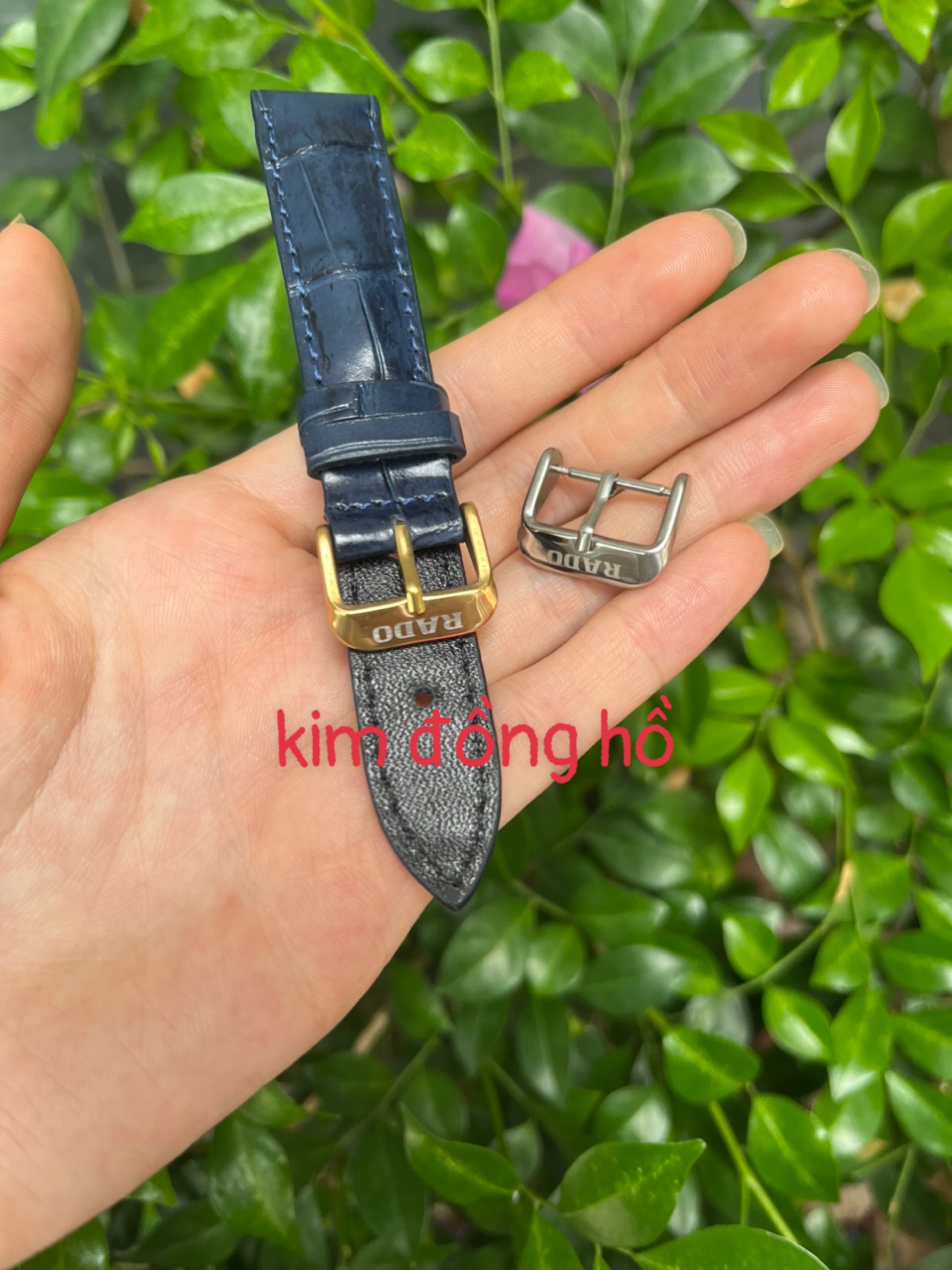 Khoá kim - khóa bướm dây da khắc logo rado - khóa dây đồng hồ