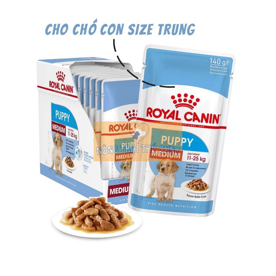 Pate Royal Canin Medium Adult - Medium Puppy Cho Giống Chó Size Trung -