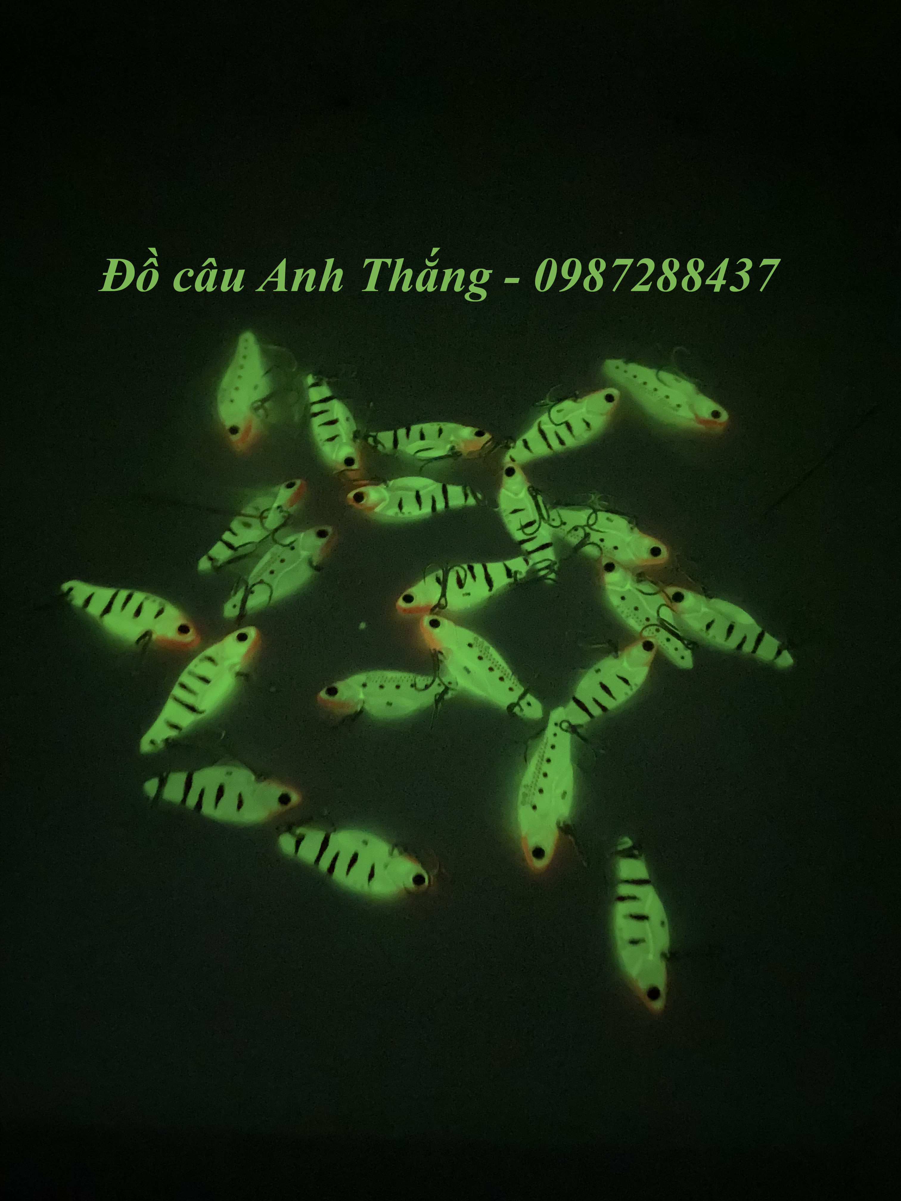 Cá sắt Orichi dạ quang