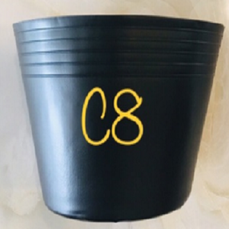 Chậu nhựa mềm đen thành đạt nhiều size ( bộ 10 chậu ) - chautrongcay