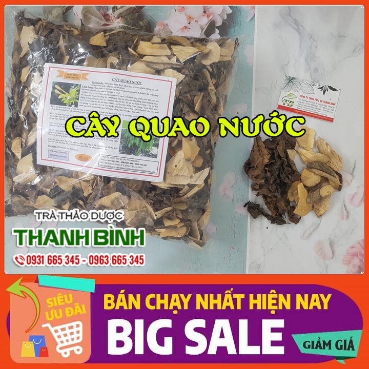 Cây Quao Nước Khô 500G - Thảo Dược Thanh Bình