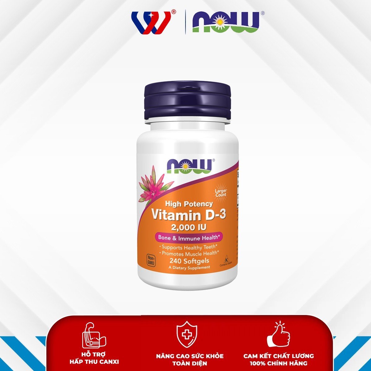 Now Vitamin D-3 2.000 IU 240 Viên