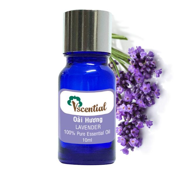 Vscential Tinh Dầu Oải Hương 10ml