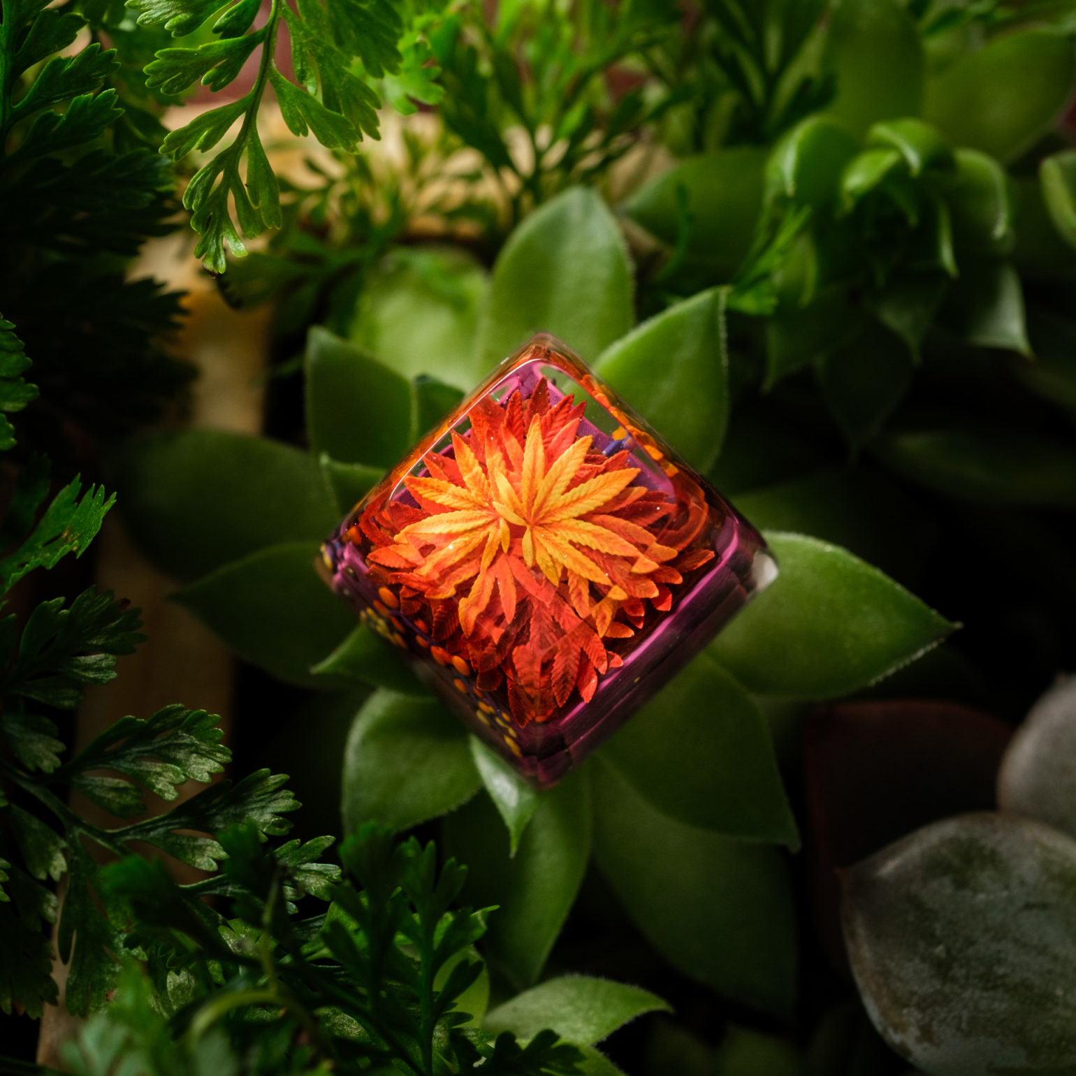 Keycap Artisan bàn phím cơ Dwarf Factory TERRARIUM V2 - Hàng chính hãng
