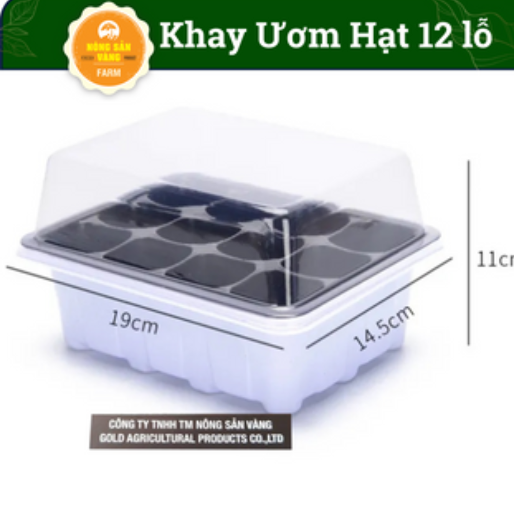 Set of 3 blister ươm seeds 12 holes with lid, convenient, easy to use-shallow gold