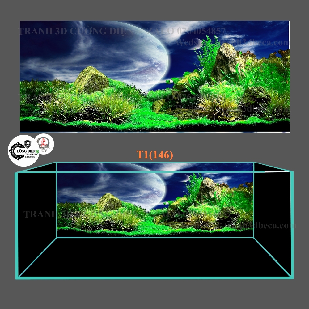 Tranh 3D dán bể cá cảnh hồ thuỷ sinh