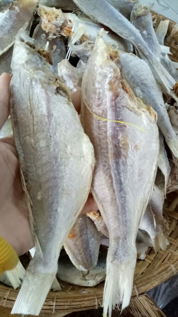 KHÔ CÁ ĐỔNG ÍT XƯƠNG THƠM NGON 1KG