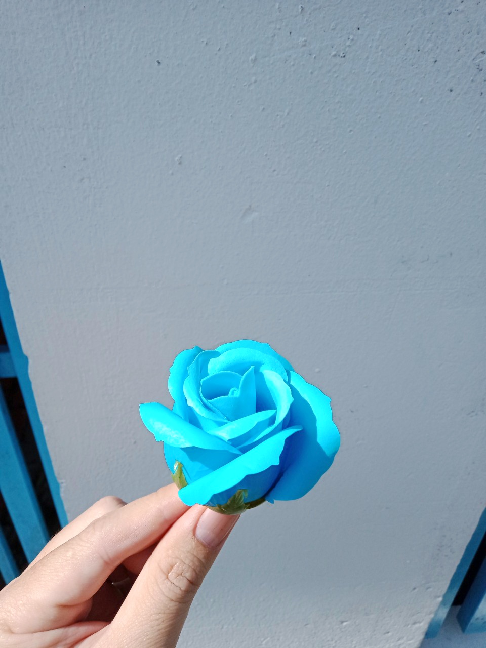 đầu bông hoa hồng sáp 3 lớp cánh