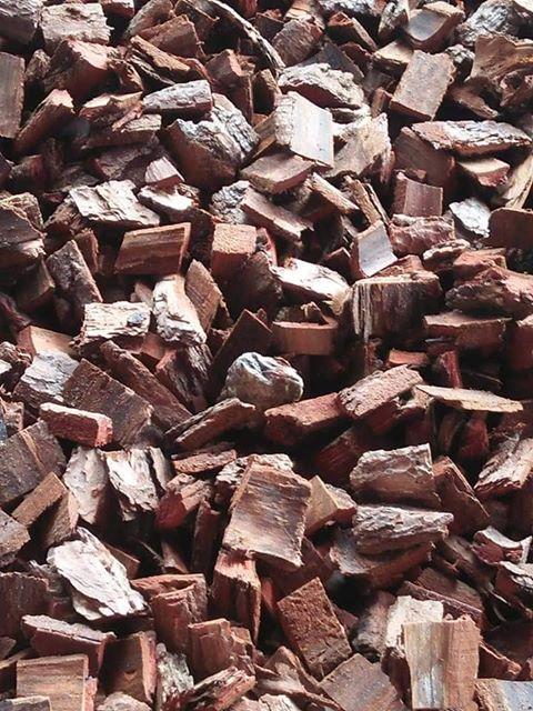 Vỏ thông đỏ băm nhỏ - Giá thể trồng lan chuyên dụng size 2-3cm hàng đẹp cây lan ta trông sẽ phát triển nhanh và không phải thay giá thể nhiều lần