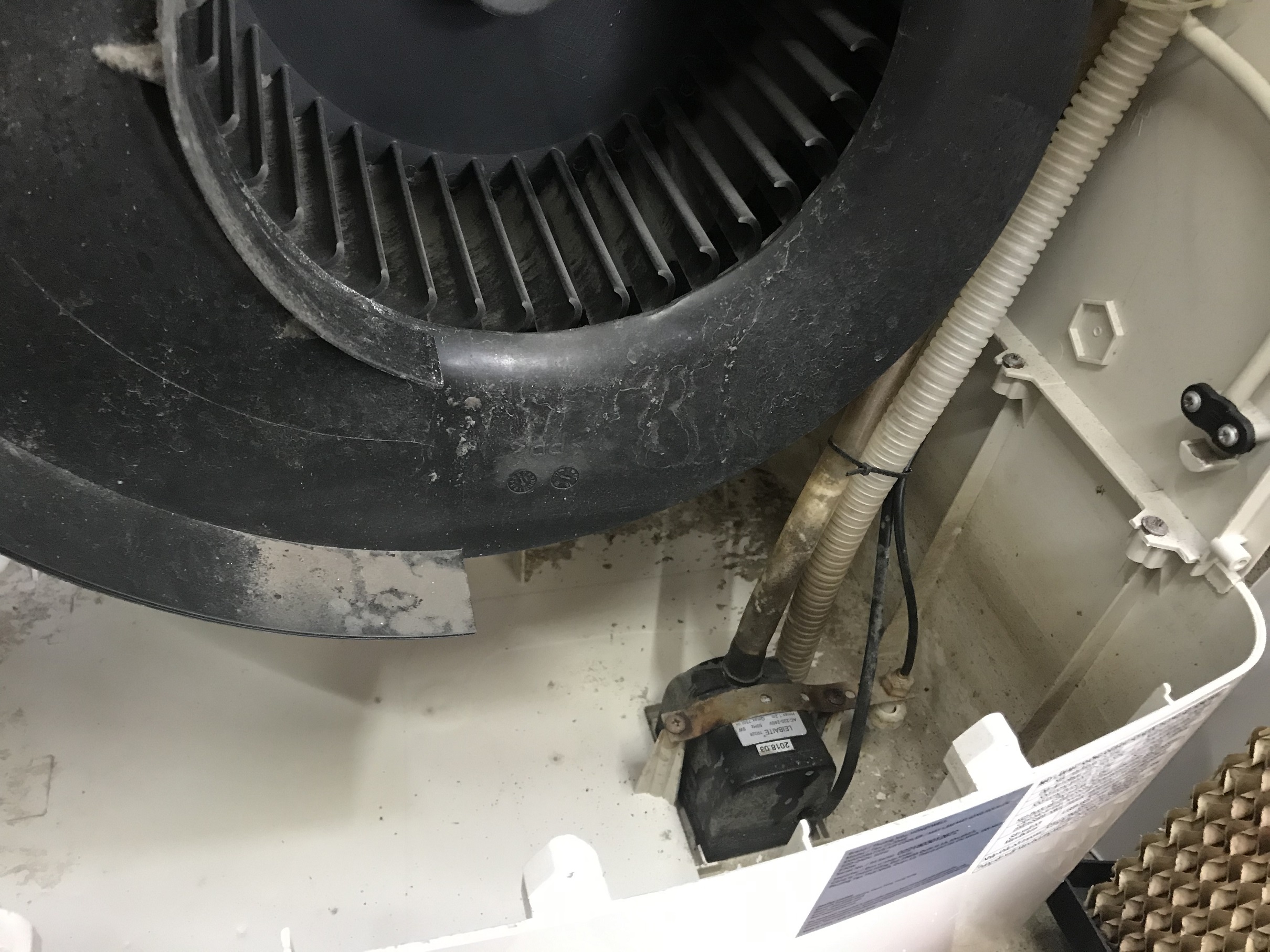 Motor bơm quạt hơi nước 1m1 - 8W