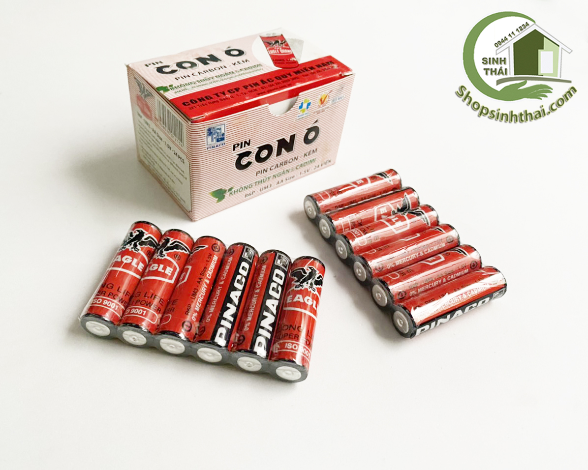 Hộp 24 viên pin aa pin con ó pinaco 1.5v