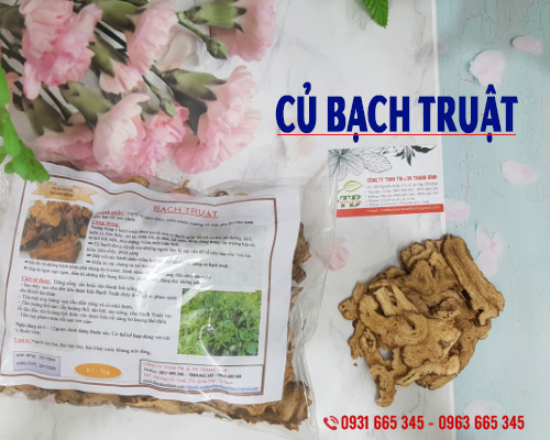 Củ Bạch Truật Khô 100G Hàng Cao Cấp - Thảo Dược Thanh Bình