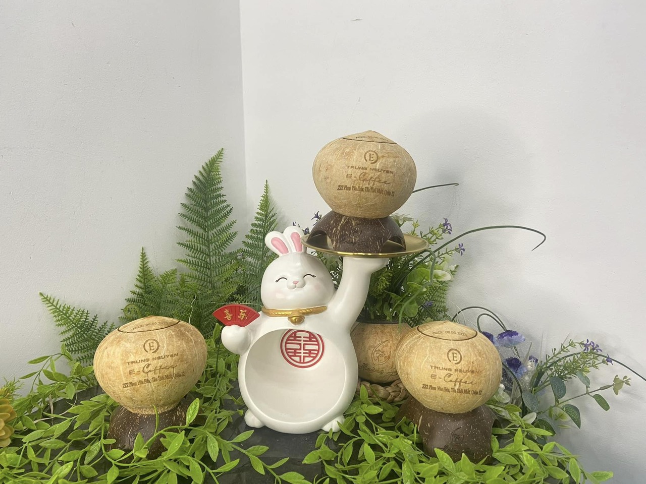 [COMBO 3 TRÁI] Dừa nướng Hoàng Gia size M(400-600g)