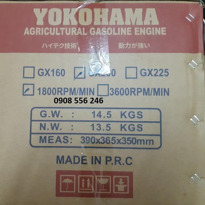 Động Cơ xĂNG yokohama GX-200 Cốt xéo