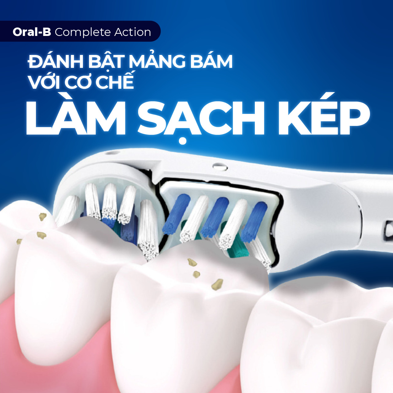 Bàn Chải Đánh Răng Pin Oral-B Complete