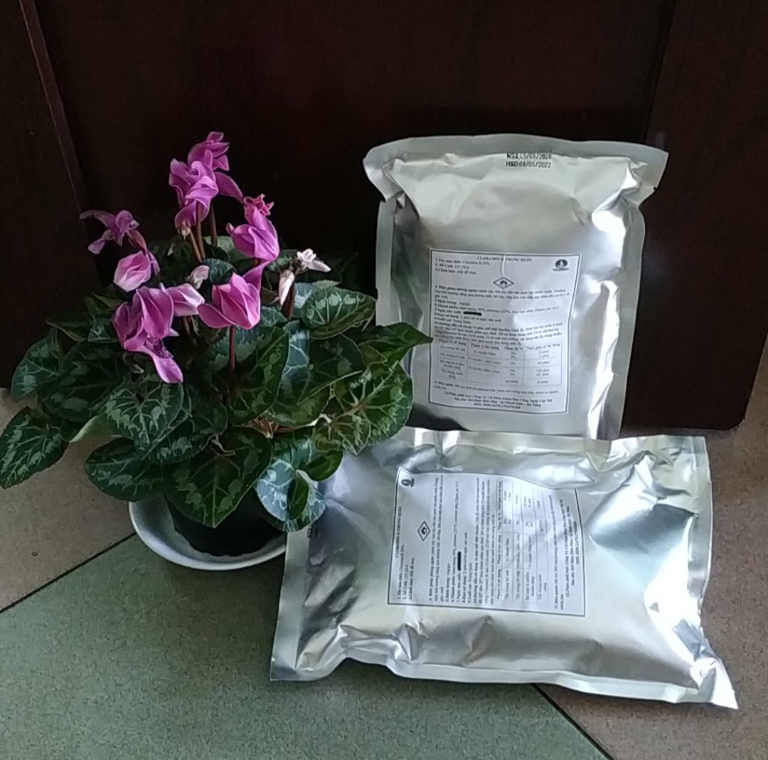 CLORAMIN B TRUNG QUỐC- gói 1kg