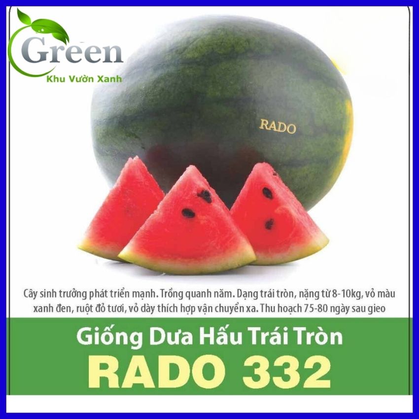 Hạt giống dưa hấu trái tròn