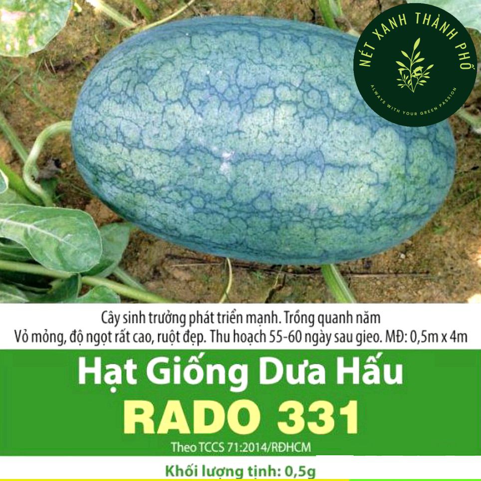 [GIAO HÀNG 2 GIỜ] Hạt giống dưa hấu trái dài, vỏ mỏng