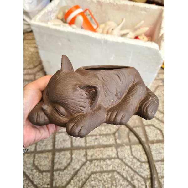 Chậu đất nung hình mèo