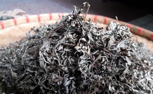 1kg ngải cứu khô