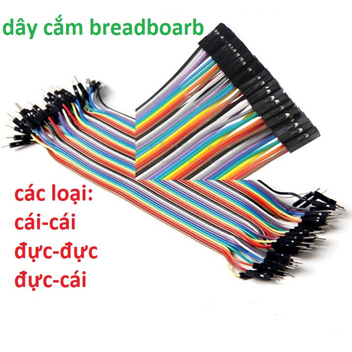 Dây bus 40P 10CM - 20CM (40 sợi)