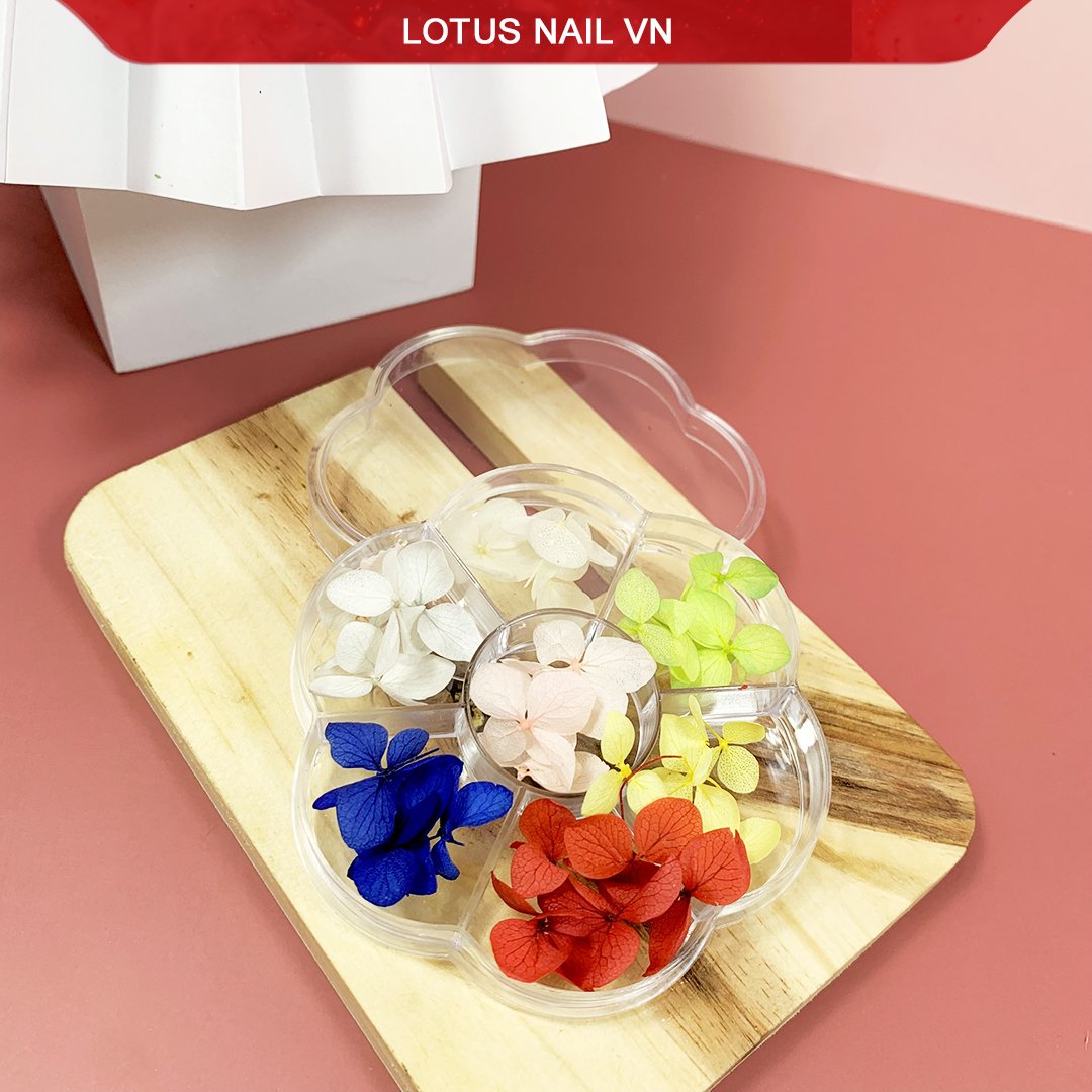 Hoa khô nail, hoa khô lụa tú cầu trang trí móng khay 7 màu
