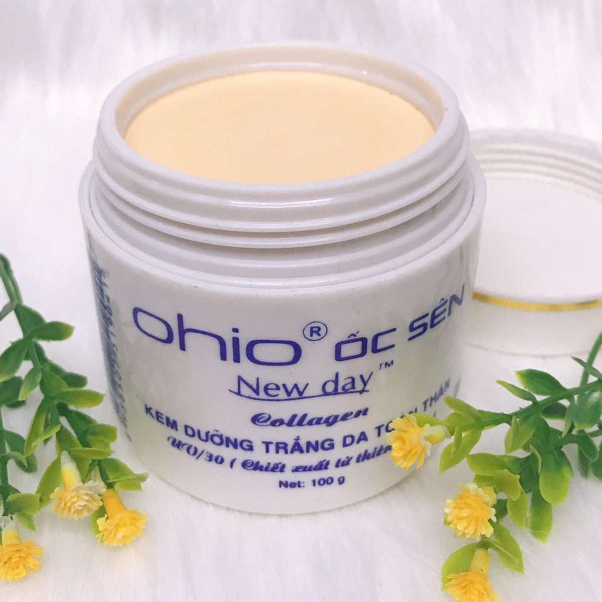 Kem dưỡng trắng da toàn thân OHIO ốc sên New Day ( 100g )