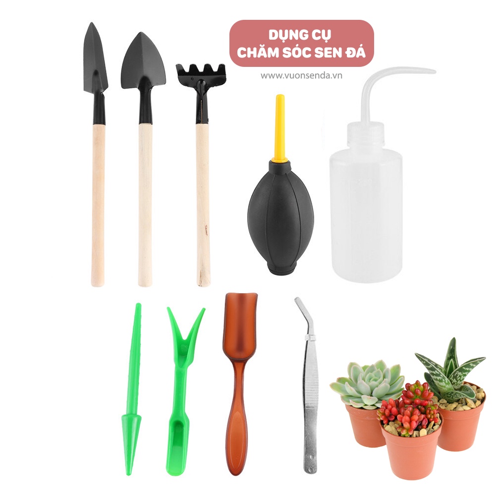 Bộ dụng cụ trồng sen đá 10 món