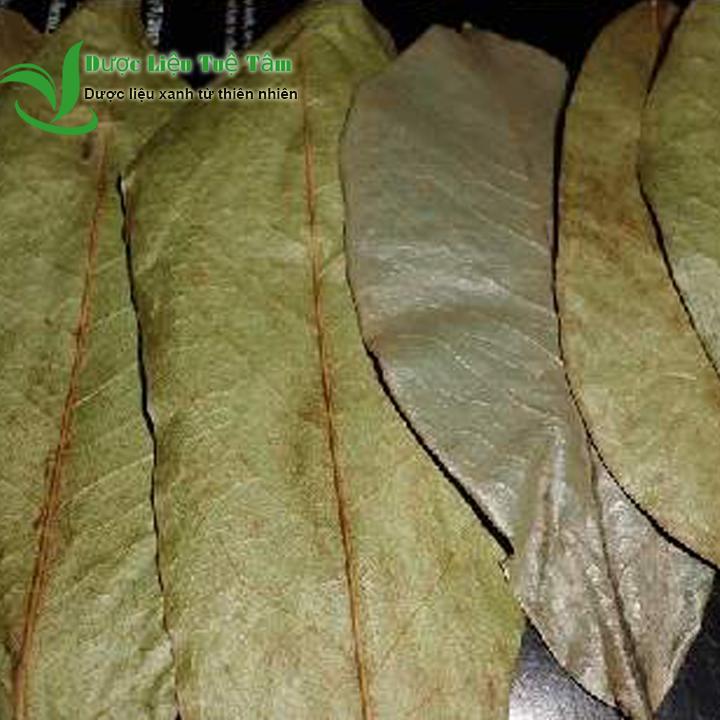 [HCM]1kg lá mảng cầu xiêm - CAO CẤP