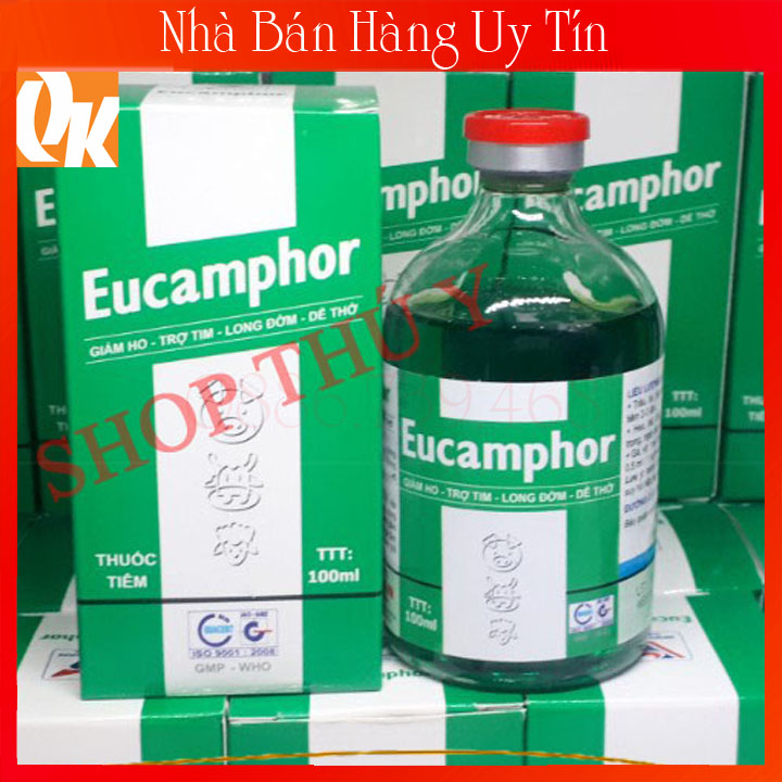 Eucamphor Giảm Ho-Trợ Tim- Long Đờm Dễ Thở 100 ML