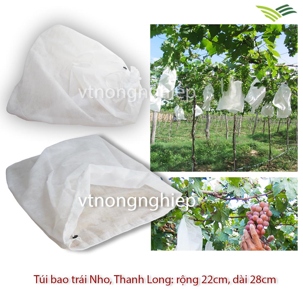 100 túi bọc trái plant KT 22x28cm