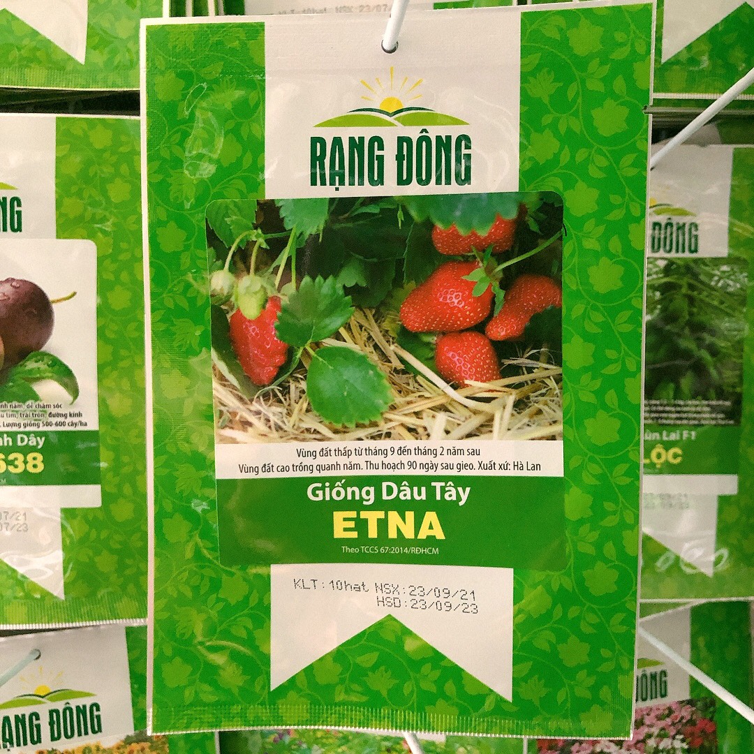 Dâu tây Etna (10 hạt)
