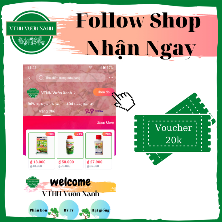Thuốc trừ bệnh cây trồng Kin-Kin Bul 72WP 45g