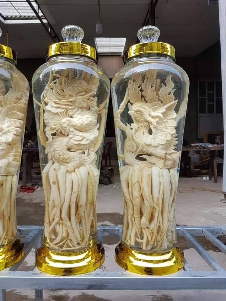 [HCM]Rể đinh lăng điêu khắc bình 7l - HÌNH TÙY CHỌN