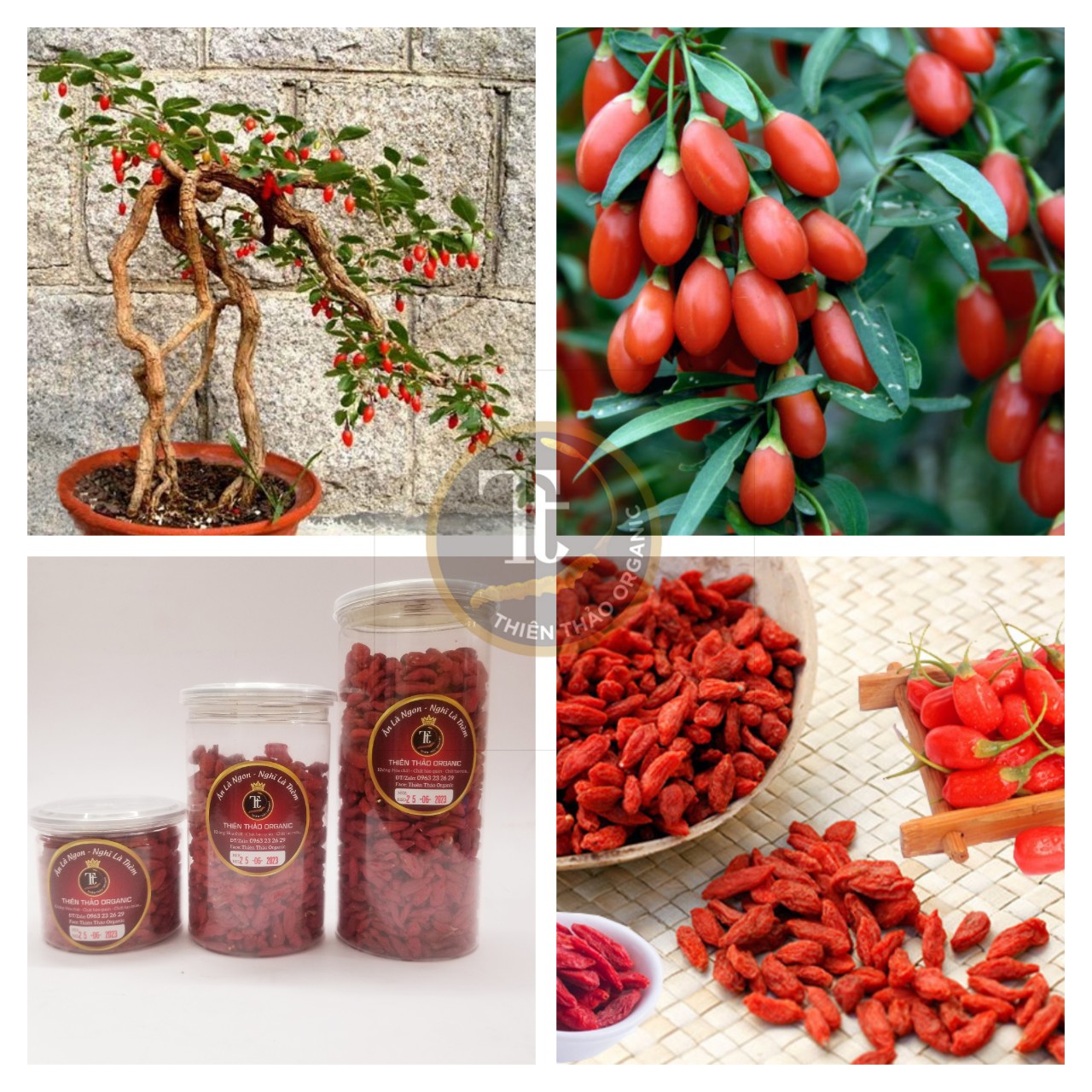 Kỷ Tử Hữu Cơ Thiên Thảo Organic 300gr