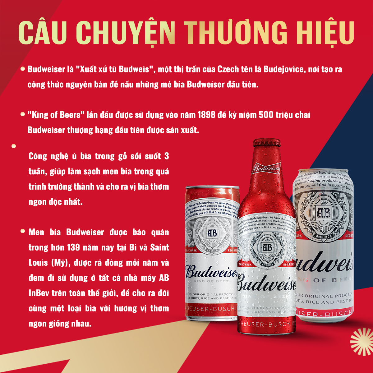 [25.11 - 29.11 VC ĐẾN 100K+FS] Combo 2 Thùng 24 Lon Bia Budweiser (330ml/lon) Date [03/2025]