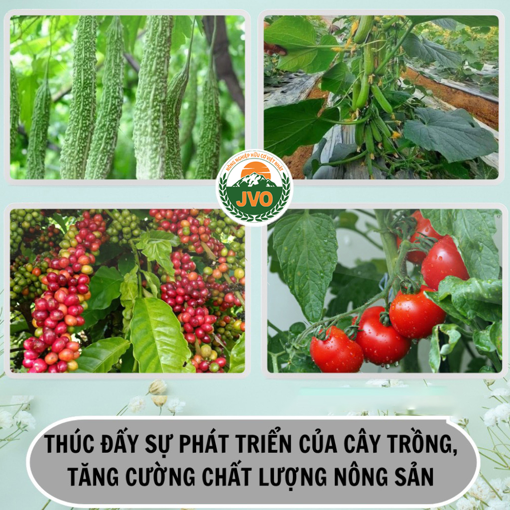 Phân Bón Lá Vi Lượng Combi Đức 30g JVO45 NongNghiepVietNhat