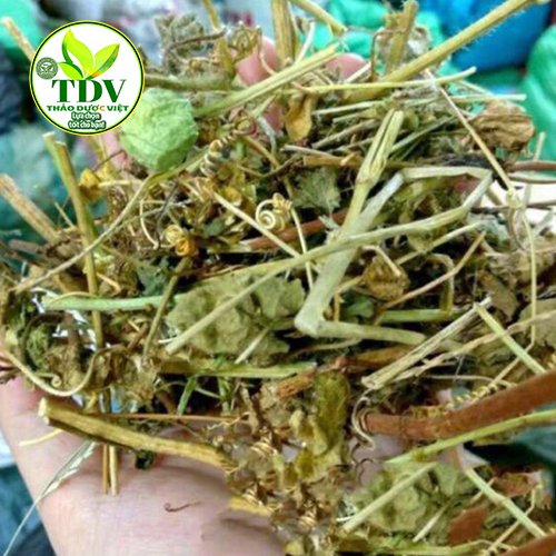 1kg Cây lạc tiên giúp ngủ ngon - Hàng công ty Thảo Dược Việt